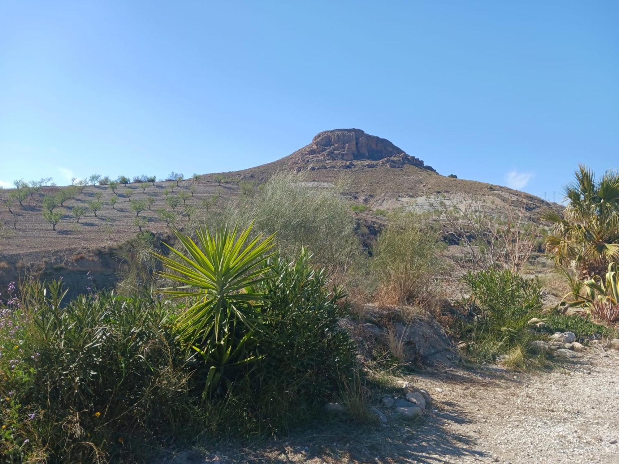 Casa Rural Los Cerezos อัลบ็อกซ์ ภายนอก รูปภาพ